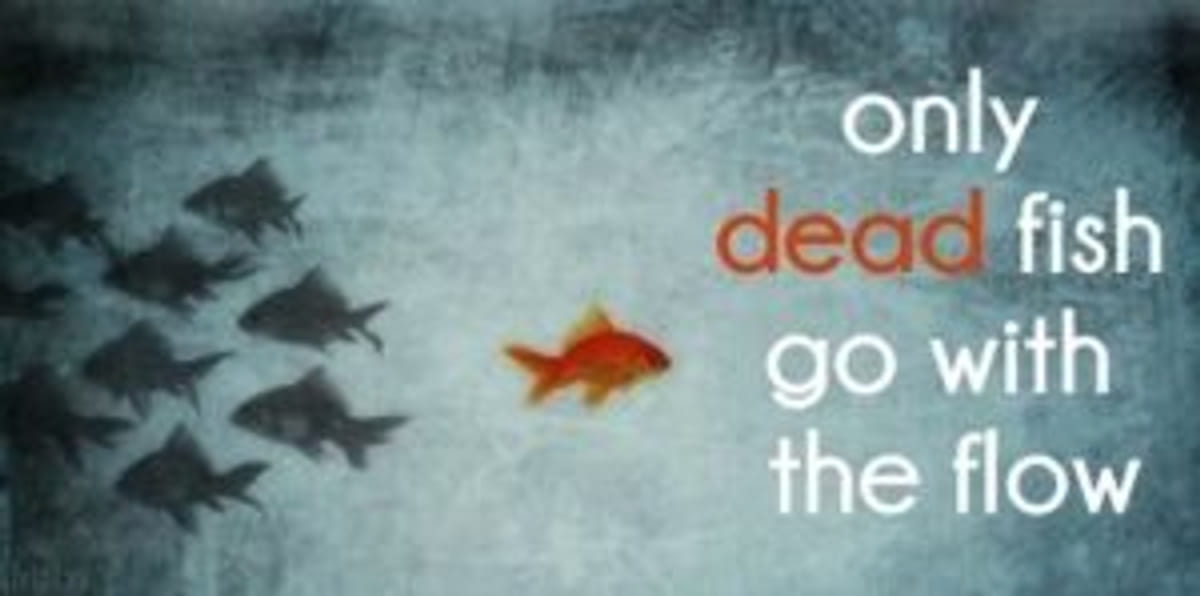 Essay-1-quote-b-300x149